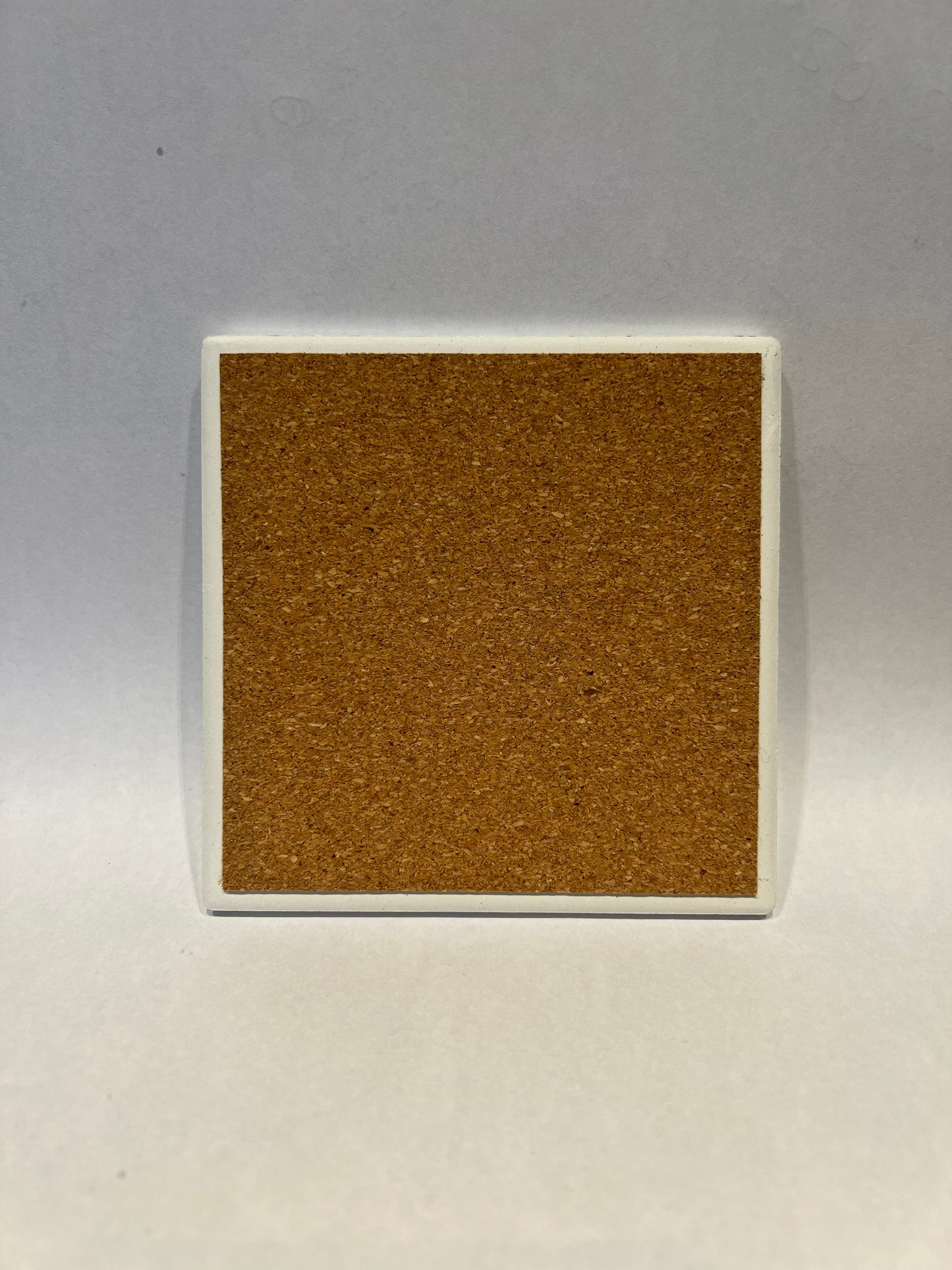 Wales ceramic cork backed coaster